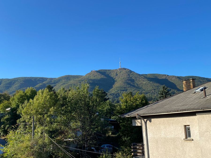 Снимка 328083277