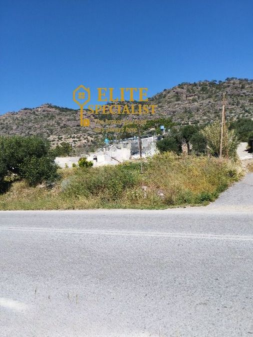 Photo 328178761