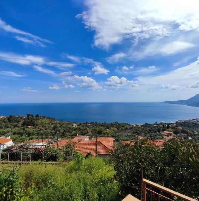 Снимка 328218559