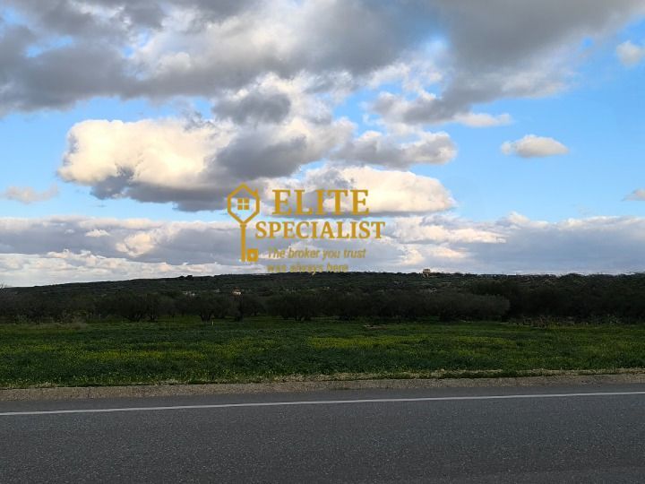 Photo 328430563