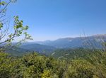 Photo 328543255