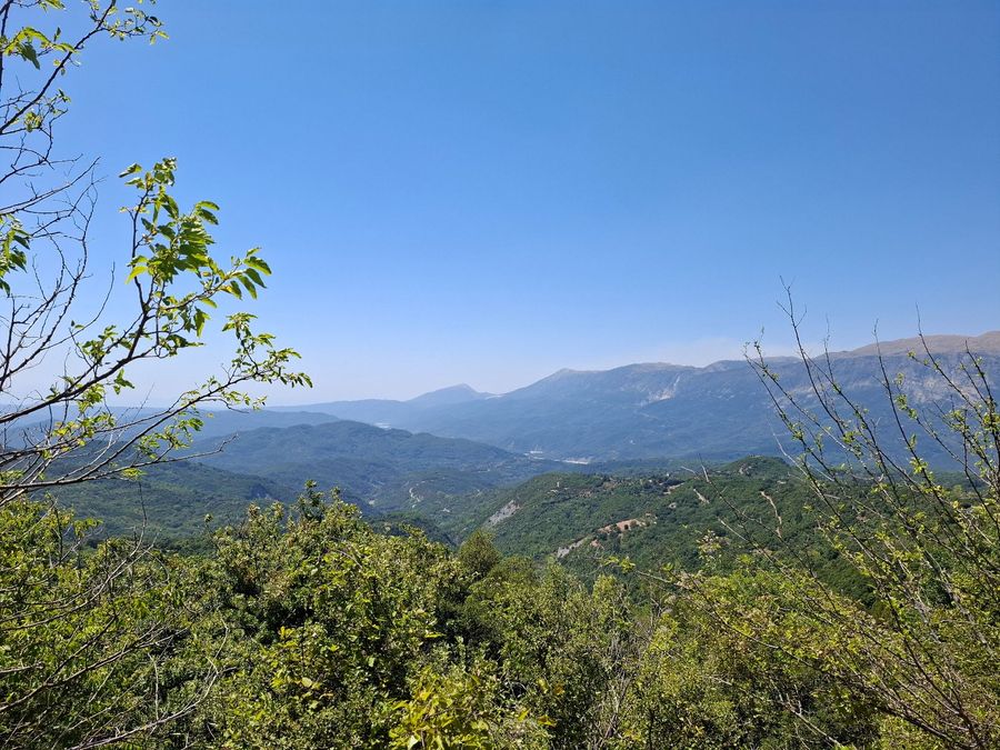 Photo 328543255