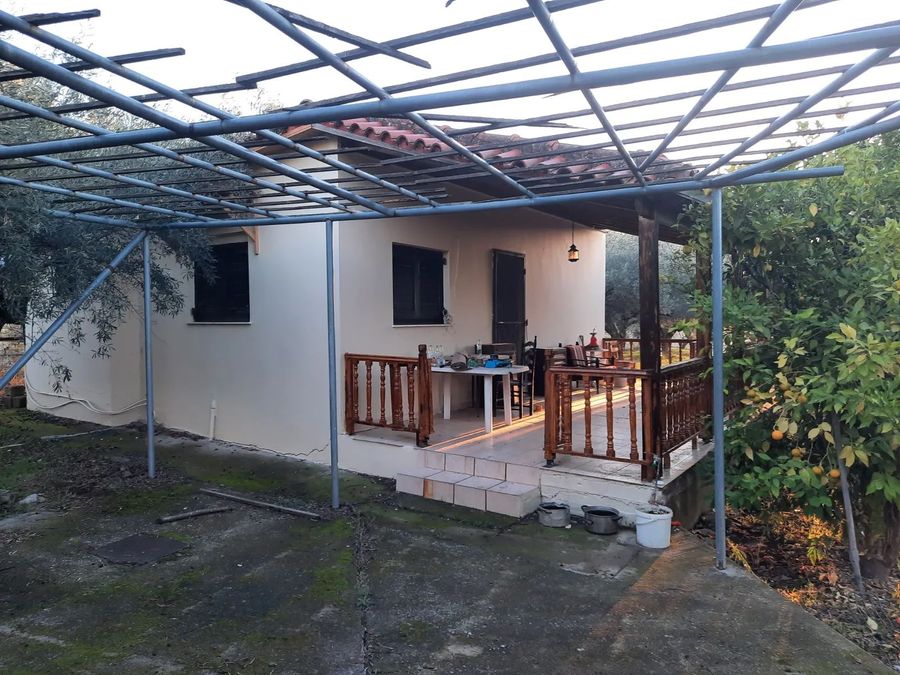 Photo 328831510