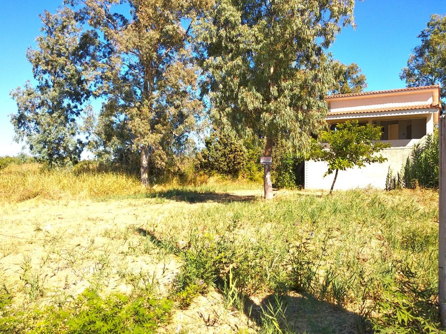 Фото 328925845
