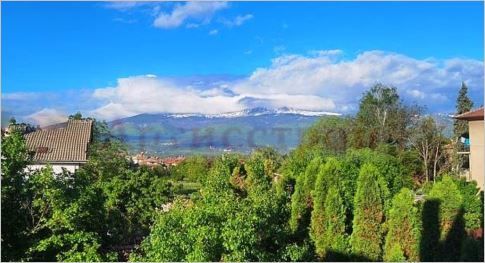 Снимка 328957702