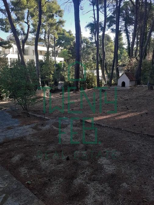 Photo 329129401