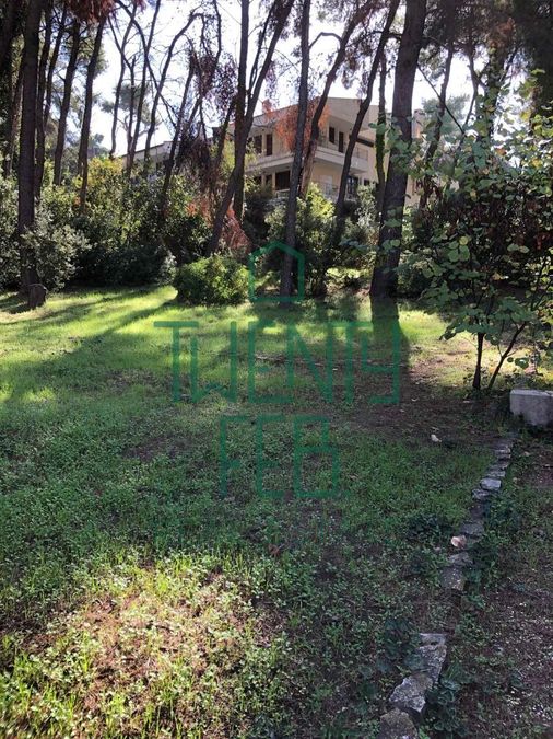 Photo 329129419