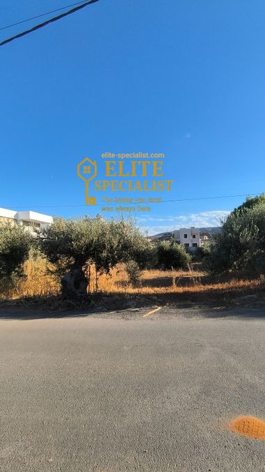 Photo 329173468