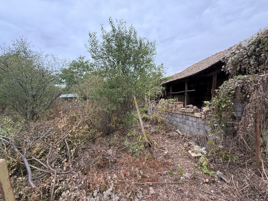 Снимка 329199274