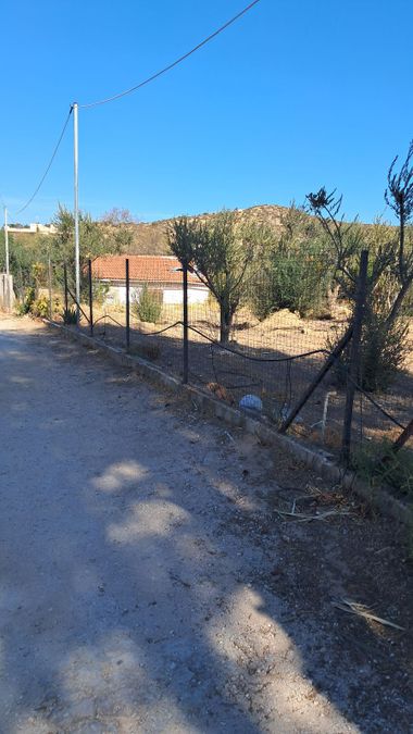 Photo 329329387