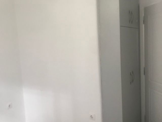 Photo 329519713