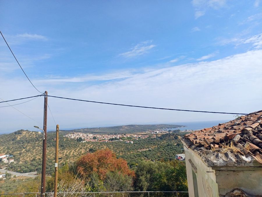 Photo 329711644