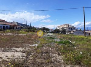 land plot for sale Xilokastro Kato Pitsa, 998 ㎡ image #3