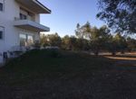 Photo 329919883