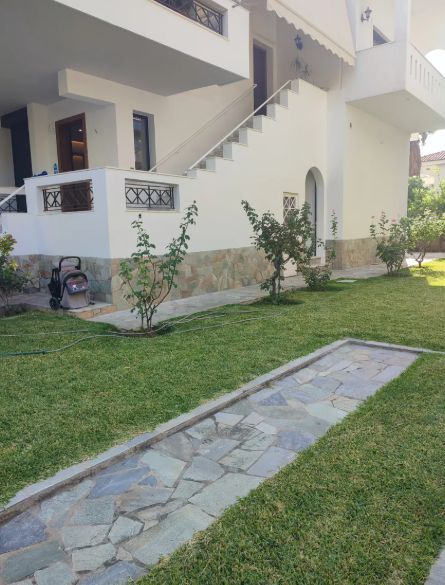 Photo 330390469