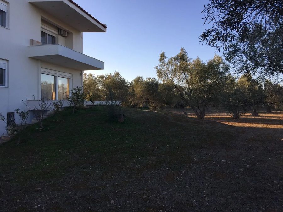 Photo 330529705