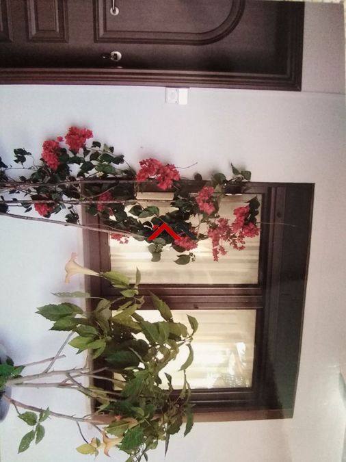 Photo 332363608
