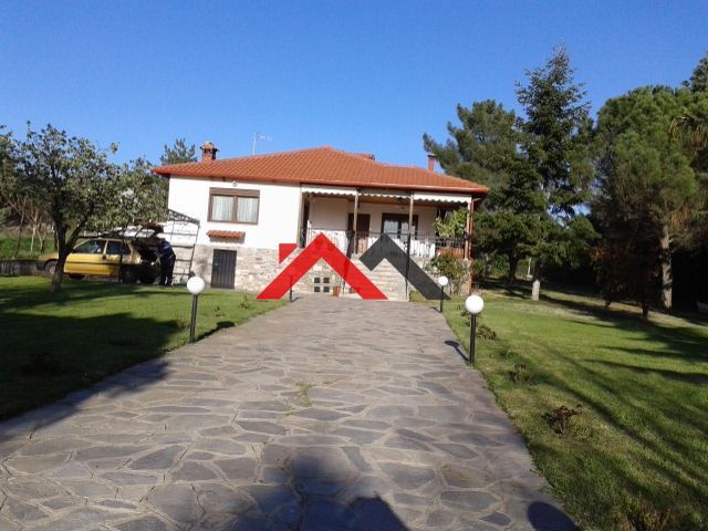 Photo 332363680