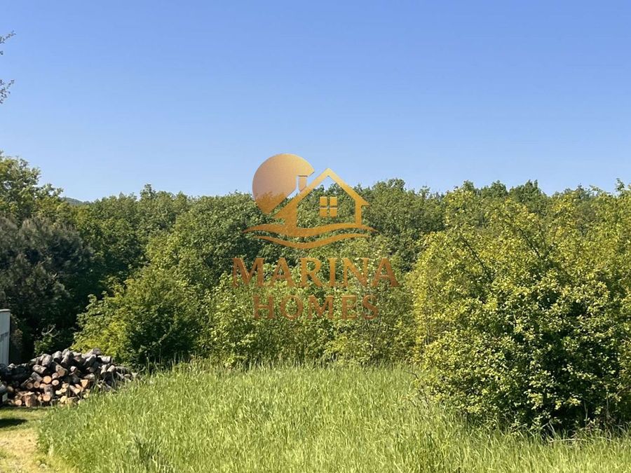 Снимка 332761711