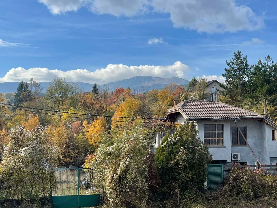 Снимка 332984899