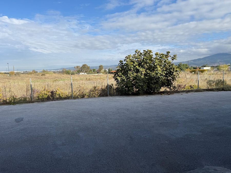 Photo 333400189