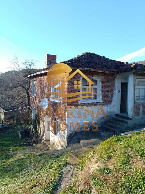 Снимка 333456988