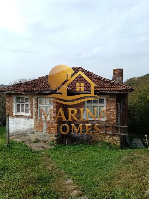 Снимка 333456991