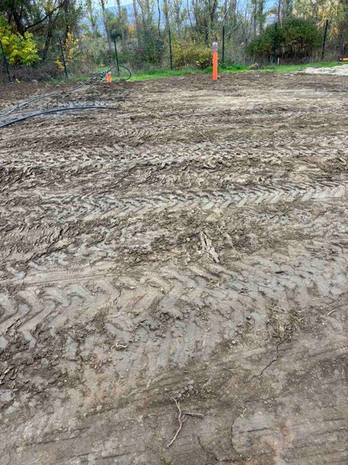 Снимка 333518911