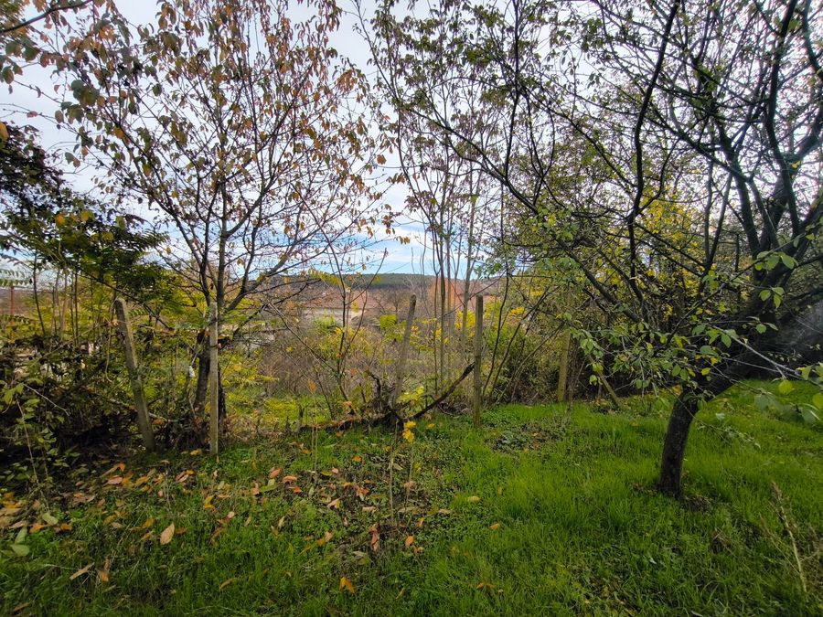 Снимка 333822808