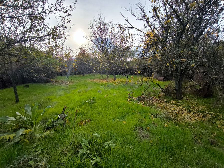 Снимка 333822811