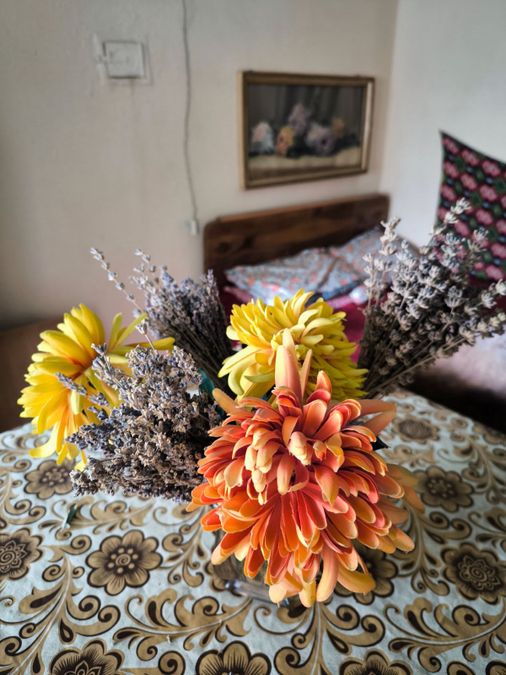 Снимка 333822820