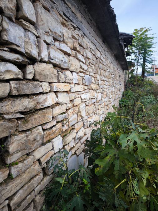 Снимка 333822826