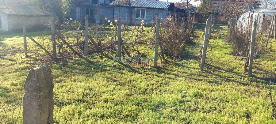 Снимка 335594245