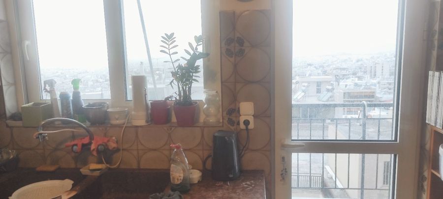 صورة فوتوغرافية 335768965