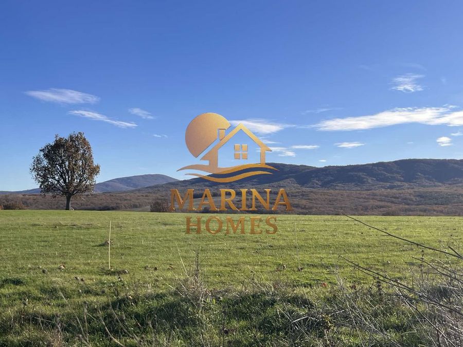 Снимка 335822143