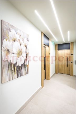 Снимка 336451351