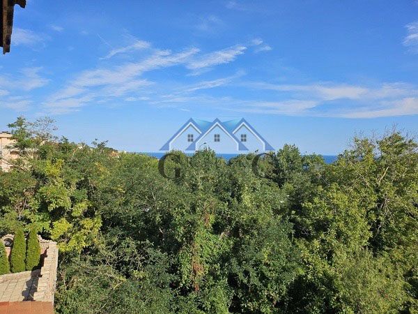 Снимка 336620614