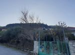 Photo 336844363