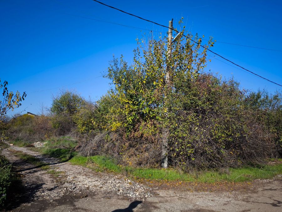 Снимка 336863833