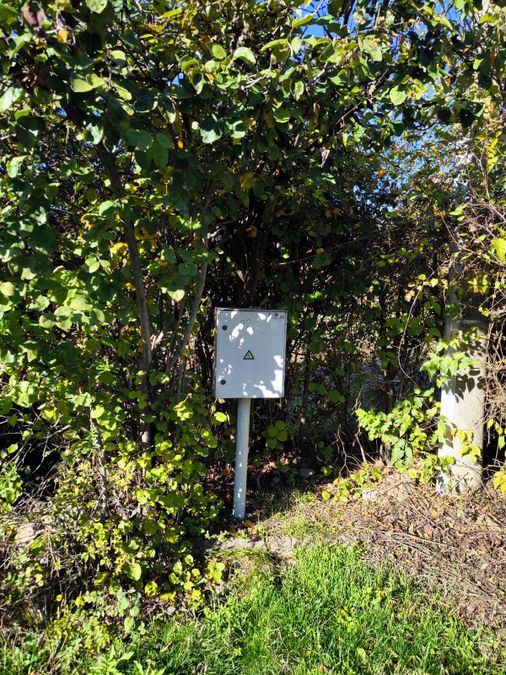 Снимка 336863836