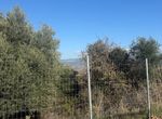 Photo 337370515