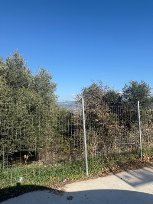 Photo 337370515