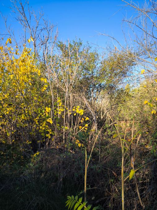 Снимка 337436608