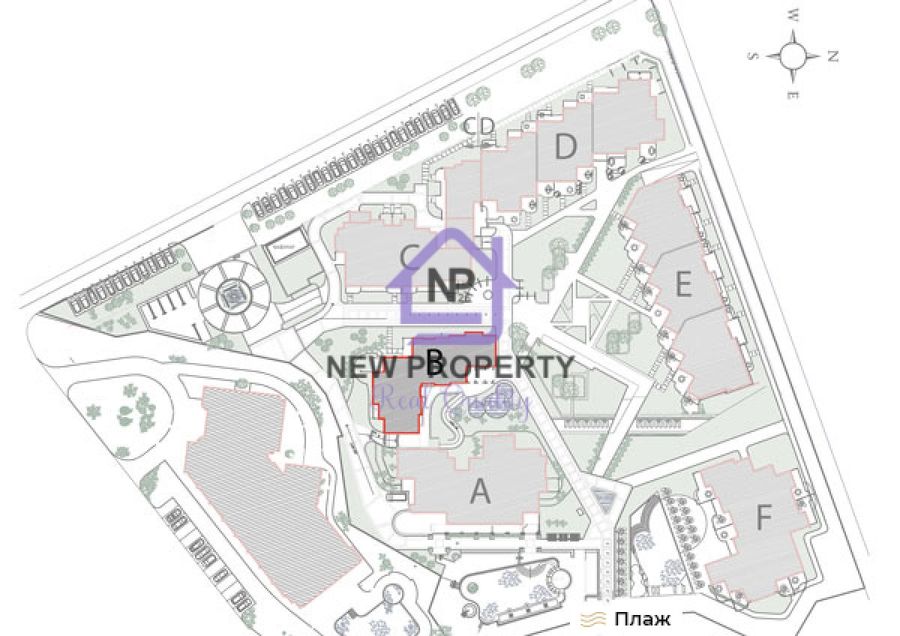 Снимка 337766833