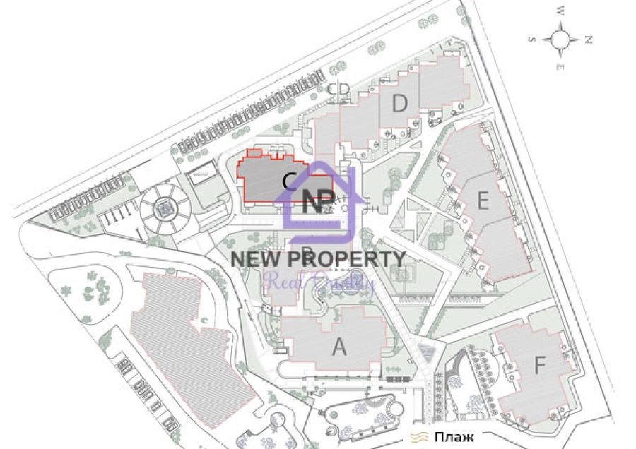 Снимка 337766887