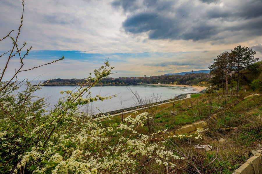 Снимка 337767502