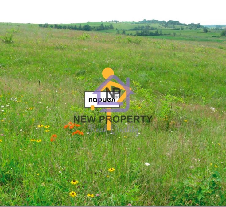 Снимка 337767553