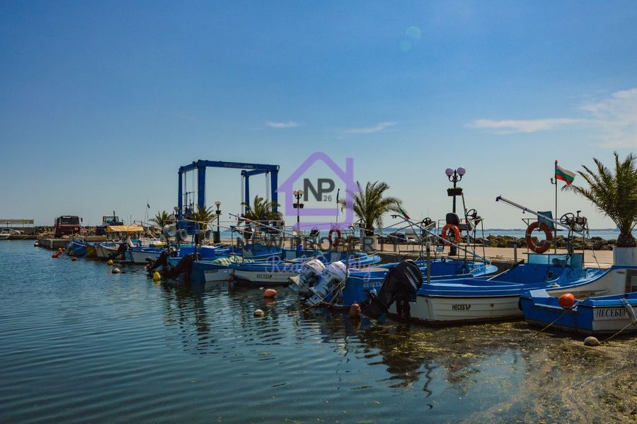 Снимка 337767673