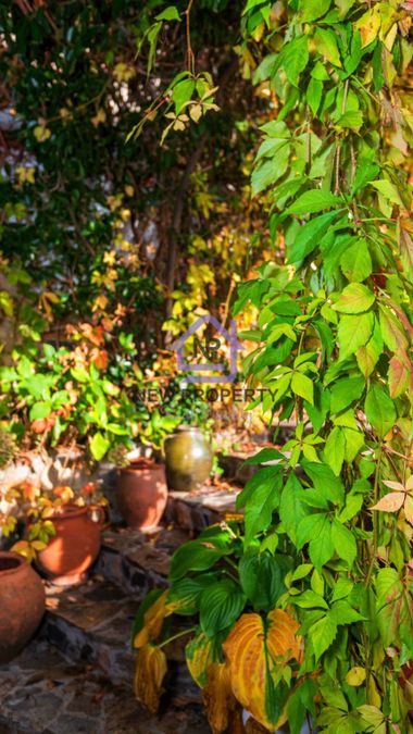 Снимка 337879375