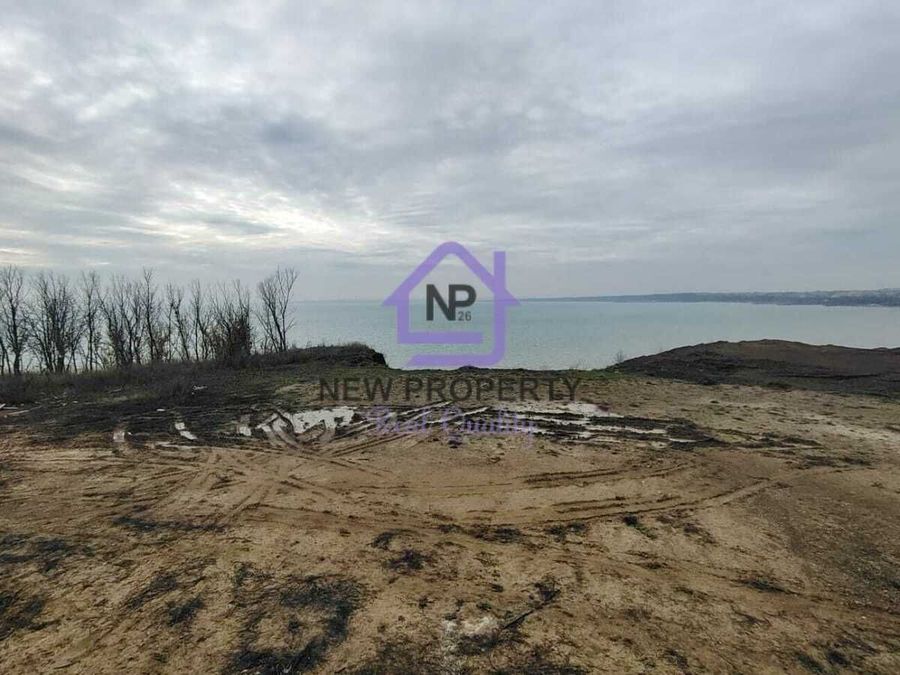 Снимка 338115127